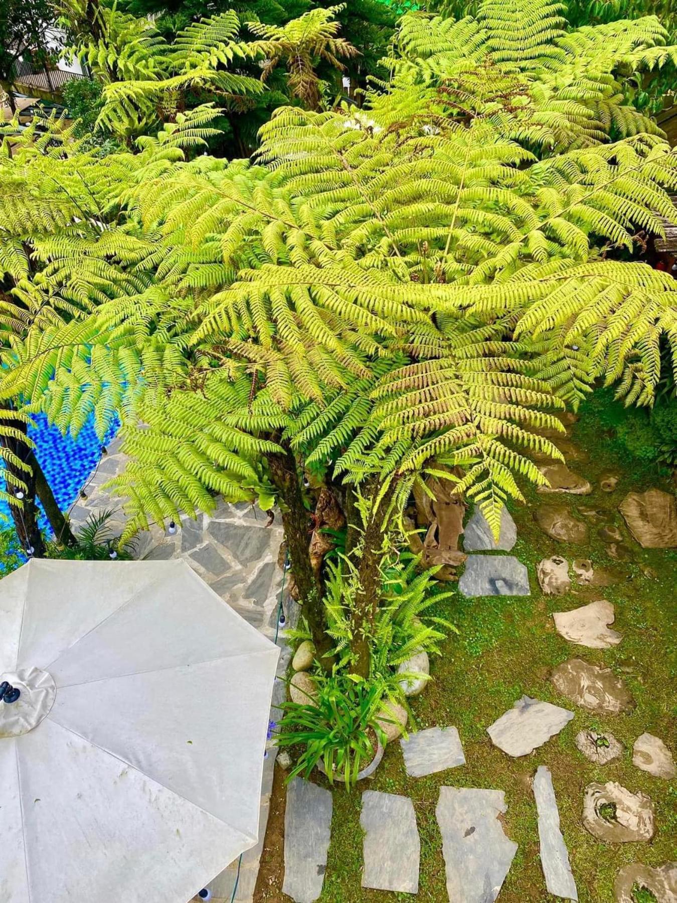 Love House Homestay Sapa Екстериор снимка